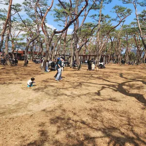 소울 로스터리 리뷰 사진