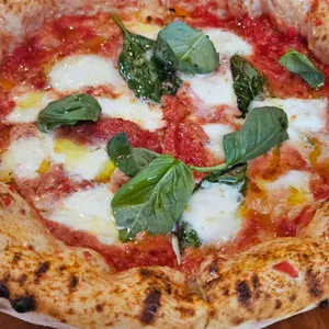 알라팔라 사진 1