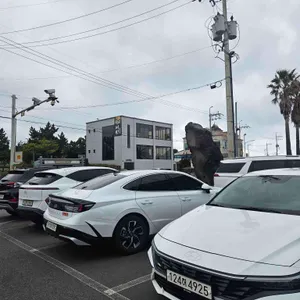 듀포레 리뷰 사진