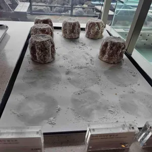 듀포레 리뷰 사진