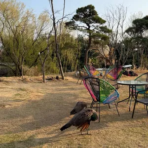 리움베이커리카페 리뷰 사진