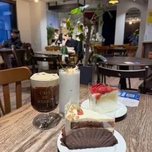 카페 드 래빗 사진