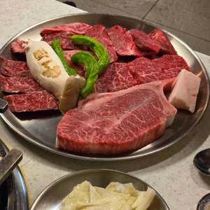 백송 대표 사진