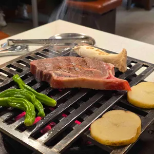 백송 대표 사진