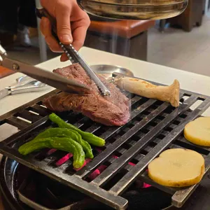 백송 대표 사진