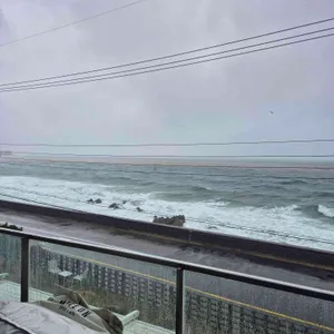 무브온 커피 사진 1