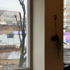 홉 리뷰 사진