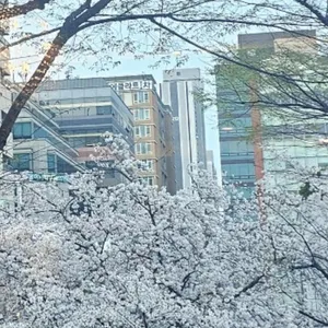 서현칼국수보쌈 대표 사진