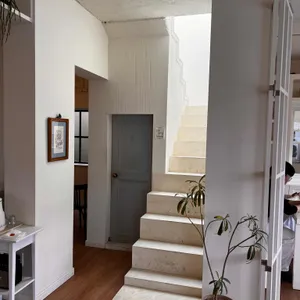 르코티 대표 사진