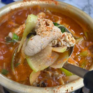 양은이네 사진 2