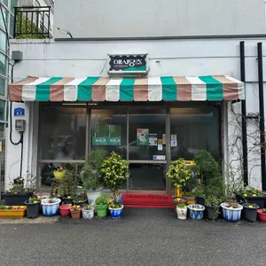 애시당초 사진 1