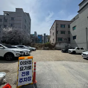 베이커리 이와정 리뷰 사진