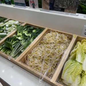 샤브올데이 사진