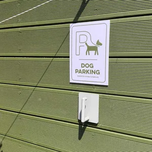 콩카페 리뷰 사진