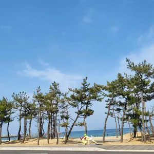 낙산해신물회 대표 사진