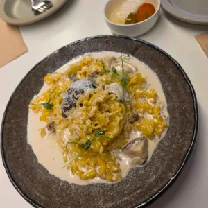 오퍼스 대표 사진