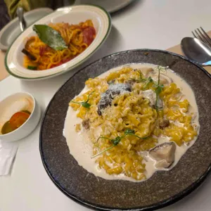 오퍼스 대표 사진