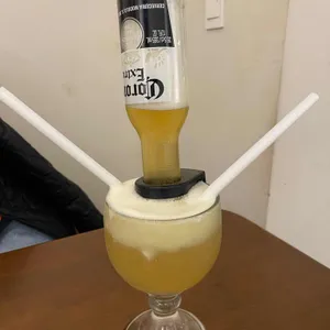 타코사노스 사진