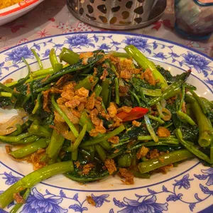 뭄알로이 대표 사진