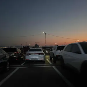 바다이야기회식당 리뷰 사진