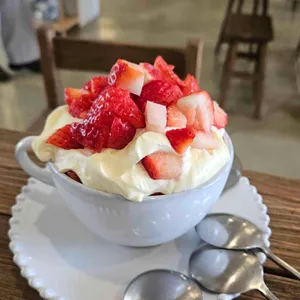 차느루 대표 사진