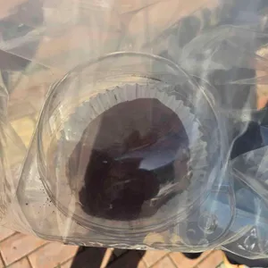 소금도화 사진 1