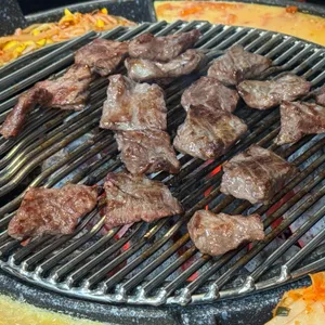 꼴통갈매기 사진 1