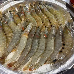 왕새우직판장 사진 1