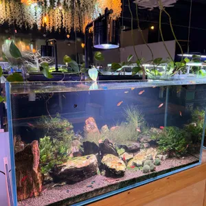 작은연못 사진 1