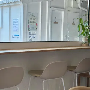 잇애니띵 대표 사진