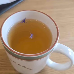 압구정샌드위치 사진 2