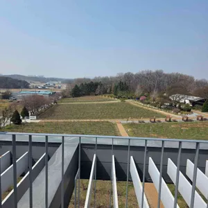 더반 올가닉 리뷰 사진