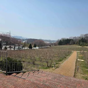 더반 올가닉 리뷰 사진