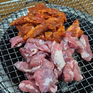 화덕갈매기 사진