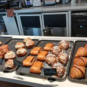 헬로 시드니 파블로바 대표 사진