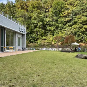 리피 대표 사진