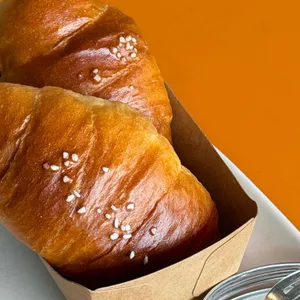 헤이든 신씨어 사진 1