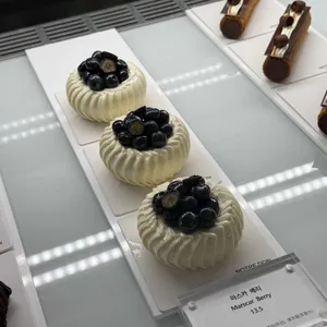 노틀던 사진