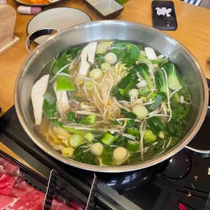 샤브자작나무 사진 2