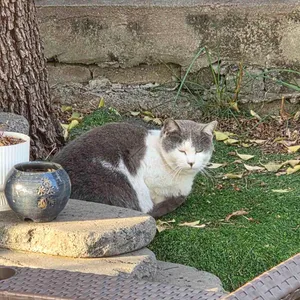 커피가이 대표 사진