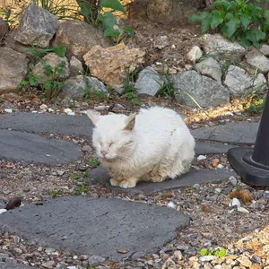 커피가이 대표 사진