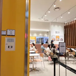 로이즈 대표 사진