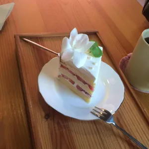 사랑과 자유 사진 1