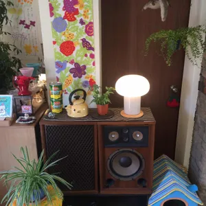 사랑과 자유 대표 사진