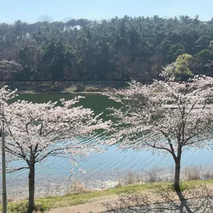카페산타로사 리뷰 사진
