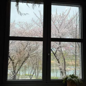 압구정샌드위치 대표 사진