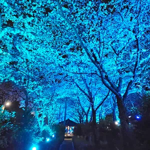 카페 파밀리에 사진 1