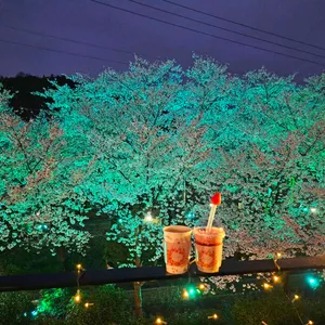 카페파밀리에 대표 사진