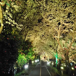 카페 파밀리에 사진 2