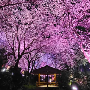 카페파밀리에 리뷰 사진